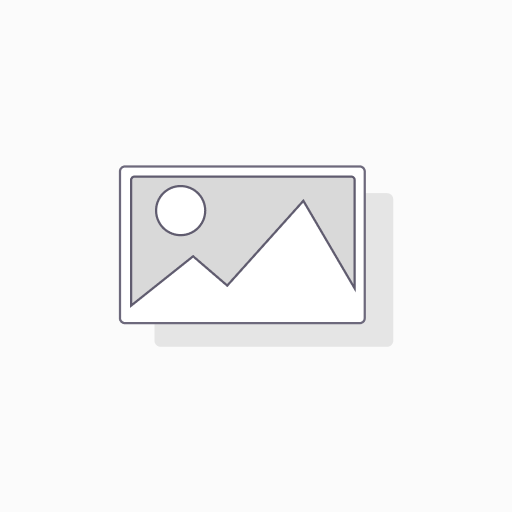 [F2204046] Baleno7431 C1